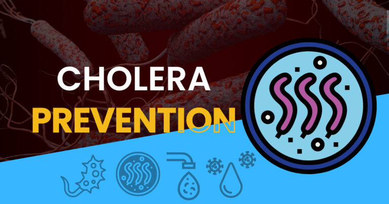 Cholera – causes, symptoms, treatment and prevention. What do we know about cholera epidemics?